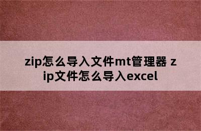 zip怎么导入文件mt管理器 zip文件怎么导入excel